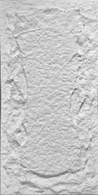 RockNest #01859 — RockNest pattern