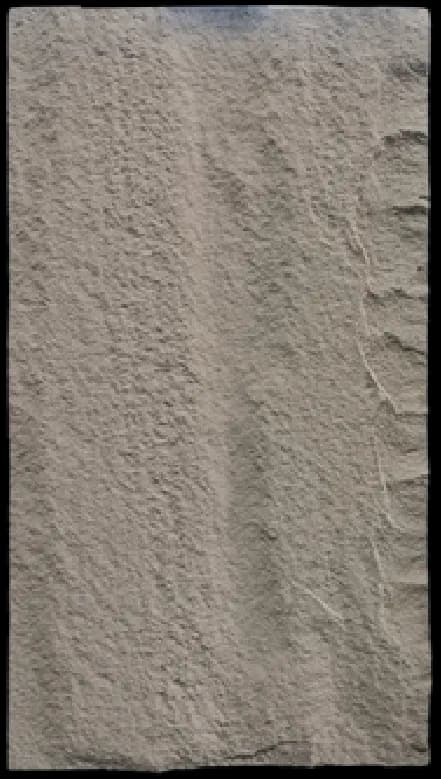RockNest #02039 — RockNest pattern